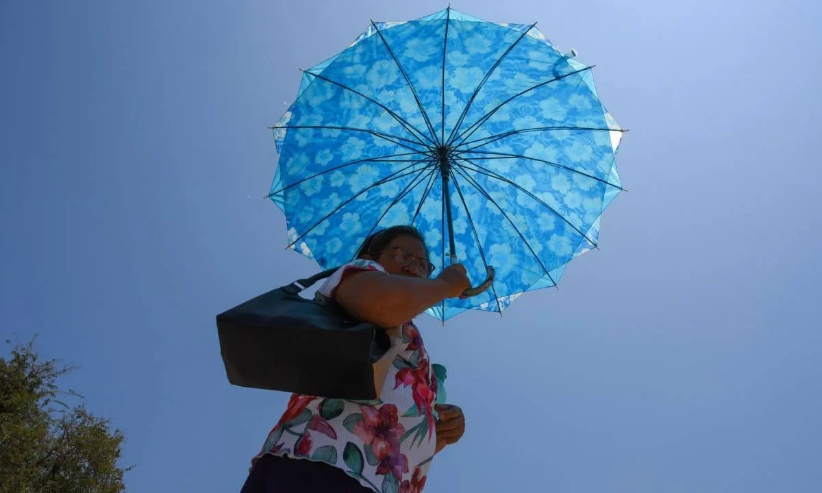 ¿Cómo debes cuidarte durante una ola de calor? Pues la Profeco da algunas recomendaciones.