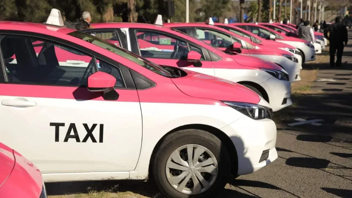 Estos son los elementos que identifican a un taxi 