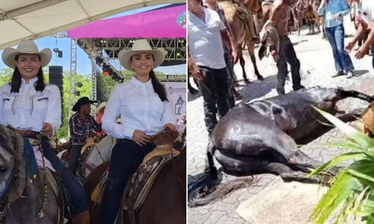 Se presentará una denuncia contra dos legisladoras locales de Quintana Roo, ambas de Morena, por presunto maltrato animal. Entérate.