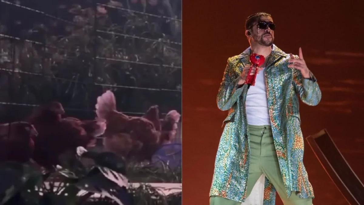 PETA denunció a Bad Bunny por utilizar gallinas vivas en su concierto.