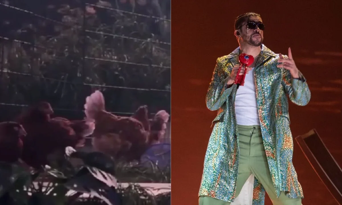 PETA denunció a Bad Bunny por utilizar gallinas vivas en su concierto.