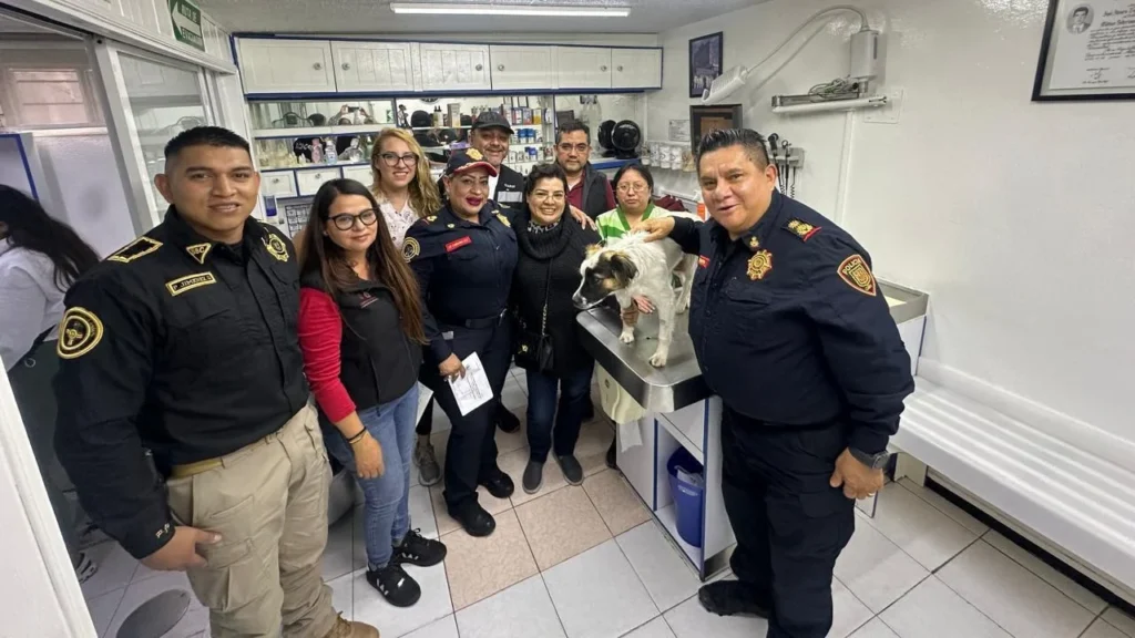 Autoridades capitalinas descartaron que un efectivo de la Policía Bancaria e Industrial haya agredido a una perrita en la alcaldía Tlalpan.
