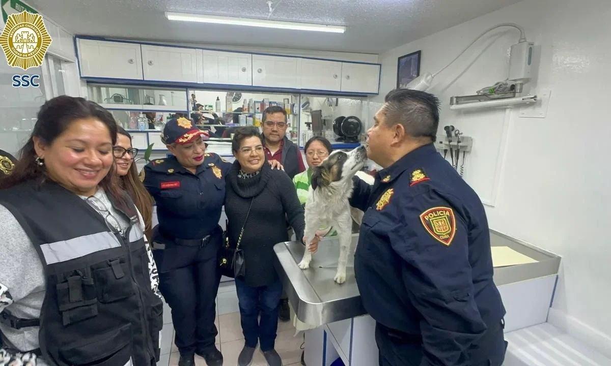 Autoridades capitalinas descartaron que un efectivo de la Policía Bancaria e Industrial haya agredido a una perrita en la alcaldía Tlalpan.