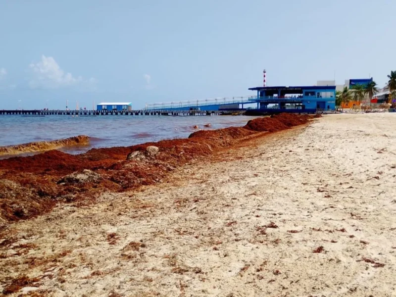 Desorden golpea ‘con fuerza’ a hotelitos de Playa del Carmen