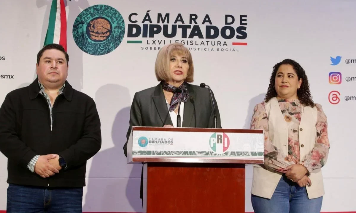 La diputada del PRI, Socorro Jasso, pide mayor castigo a los homicidios de menores.