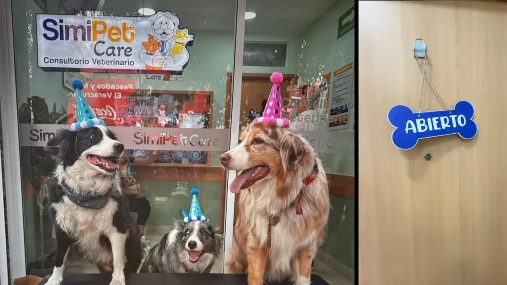 Dónde estarán las 12 nuevas clínicas veterinarias del Dr. Simi. Noticias en tiempo real