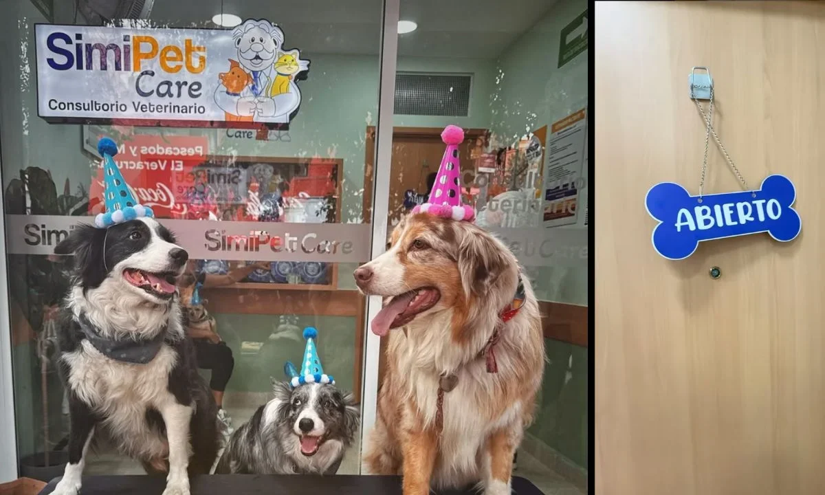 Las veterinarias del Dr. Simi son una realidad y la muestra son las 12 nuevas clínicas que abrirán sus puertas incluso con consultas gratis.