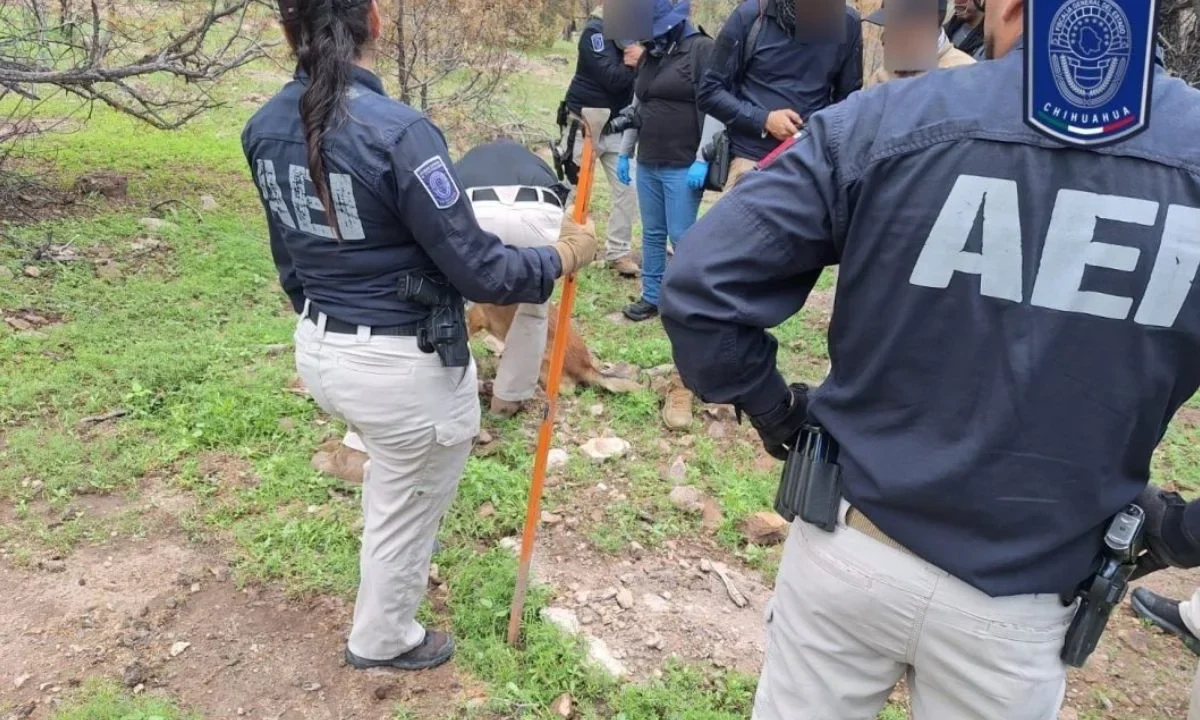 Hallan más restos óseos en El Willy, en Casas Grandes