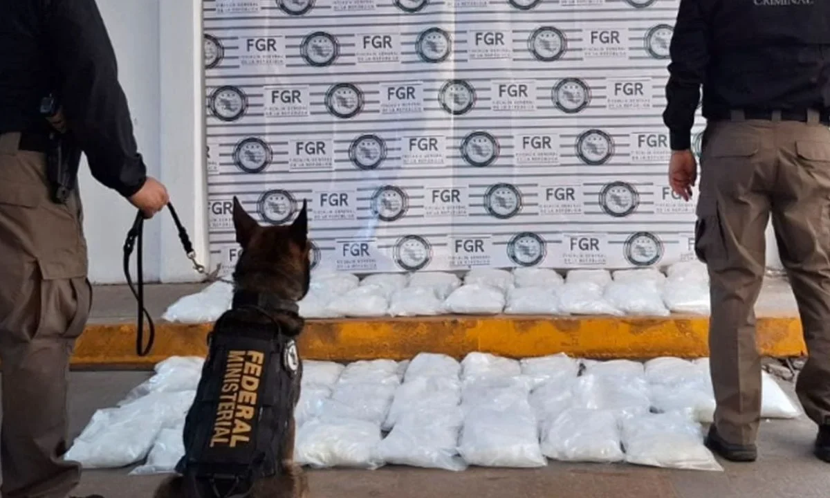 En junio, FGR aseguró 196 mil pastillas, y 26.7 kilos de fentanilo
