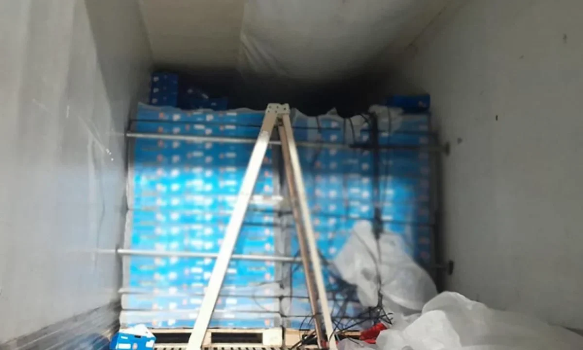 SLP incauta cocaína