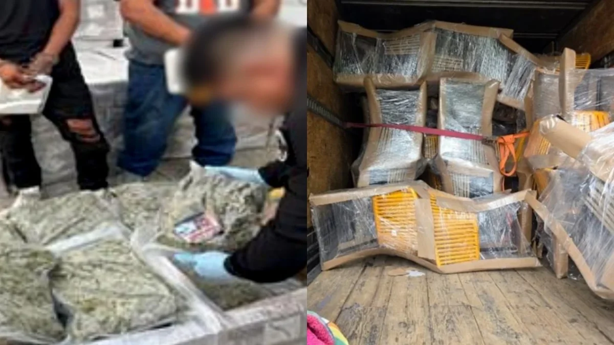 Elementos de la Fiscalía General de la República (FGR) aseguraron más de 1 tonelada marihuana oculta en muebles y detuvo a 2 en Tabasco.