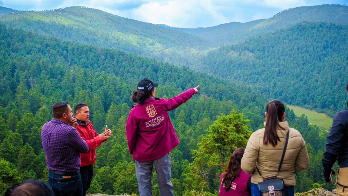 La alcaldesa Gaby Osorio, y la Sedema, encabezaron el arranque del programa “Raíz a Raíz, Tlalpan Reverdece”.