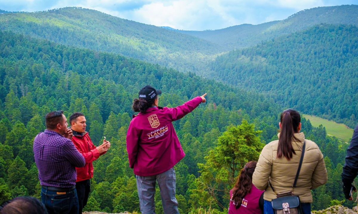 La alcaldesa Gaby Osorio, y la Sedema, encabezaron el arranque del programa “Raíz a Raíz, Tlalpan Reverdece”.