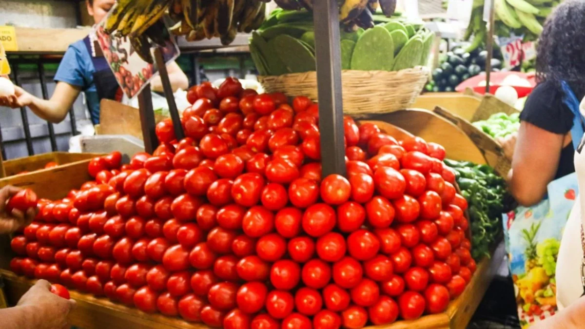 Secretarías de Economía y Agricultura tachan de 'injusto' el arancel al tomate