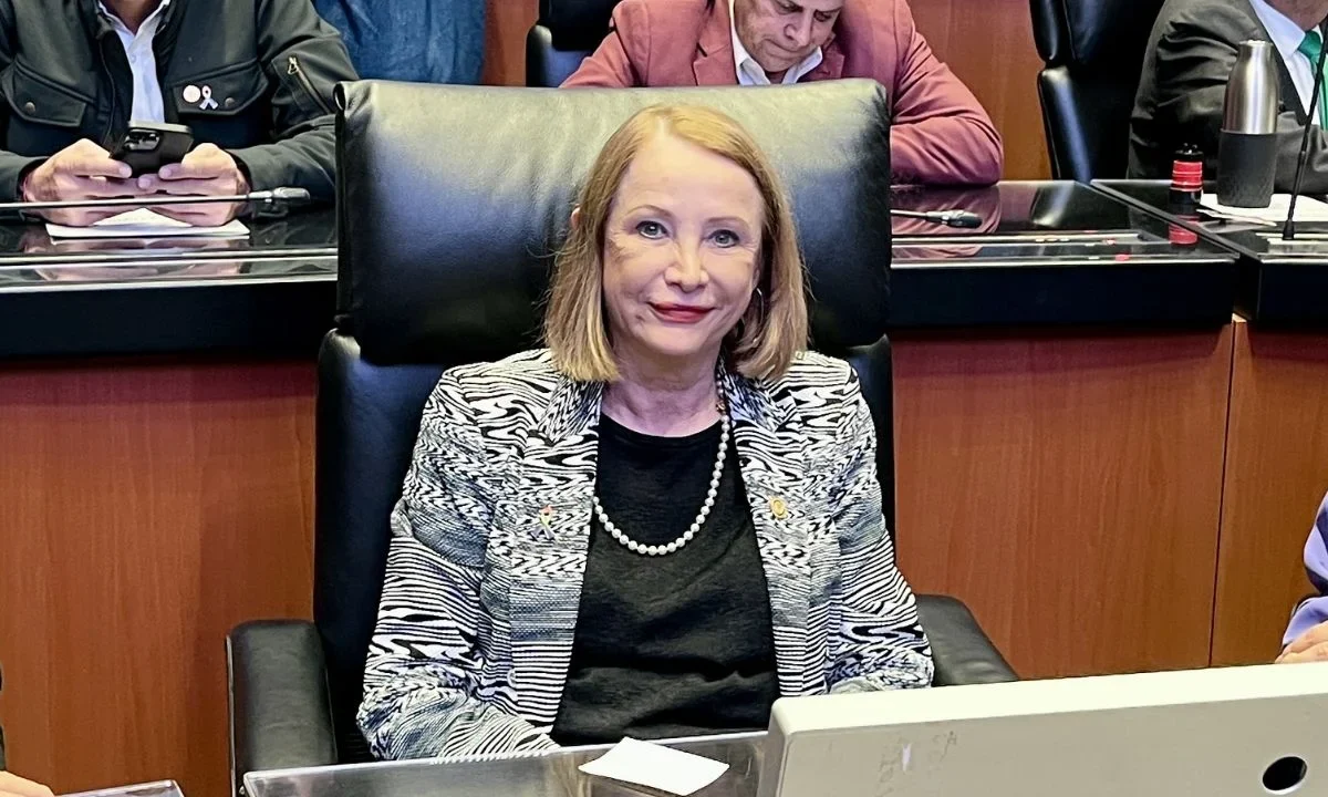 La morenista Laura Itzel Castillo dijo que aún no define si buscará el cargo para presidir el Senado, aunque aseguró sería un honor para ella.