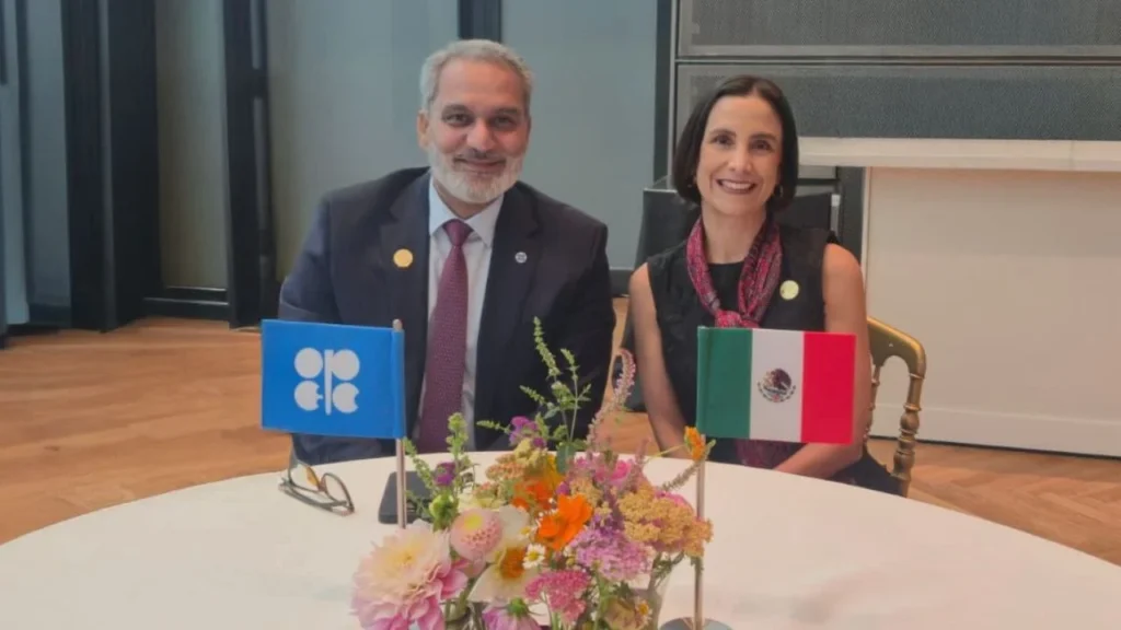 Luz Elena González, Meksika'nın OPEC içindeki enerji stratejisini vurguluyor.