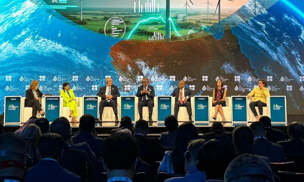 Luz Elena González resalta estrategia de México en el sector energético en OPEP.