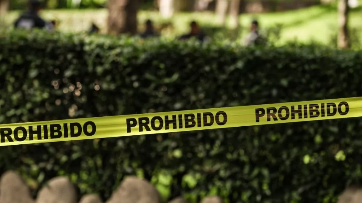 La Fiscalía General del Estado informó que los cuerpos de la familia presentaban disparos de arma de fuego y se encontraron en un barranco.