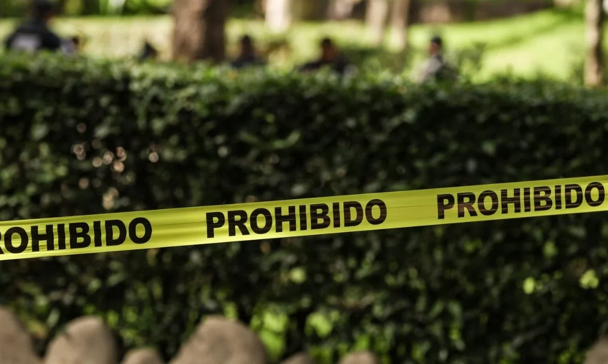 La Fiscalía General del Estado informó que los cuerpos de la familia presentaban disparos de arma de fuego y se encontraron en un barranco.