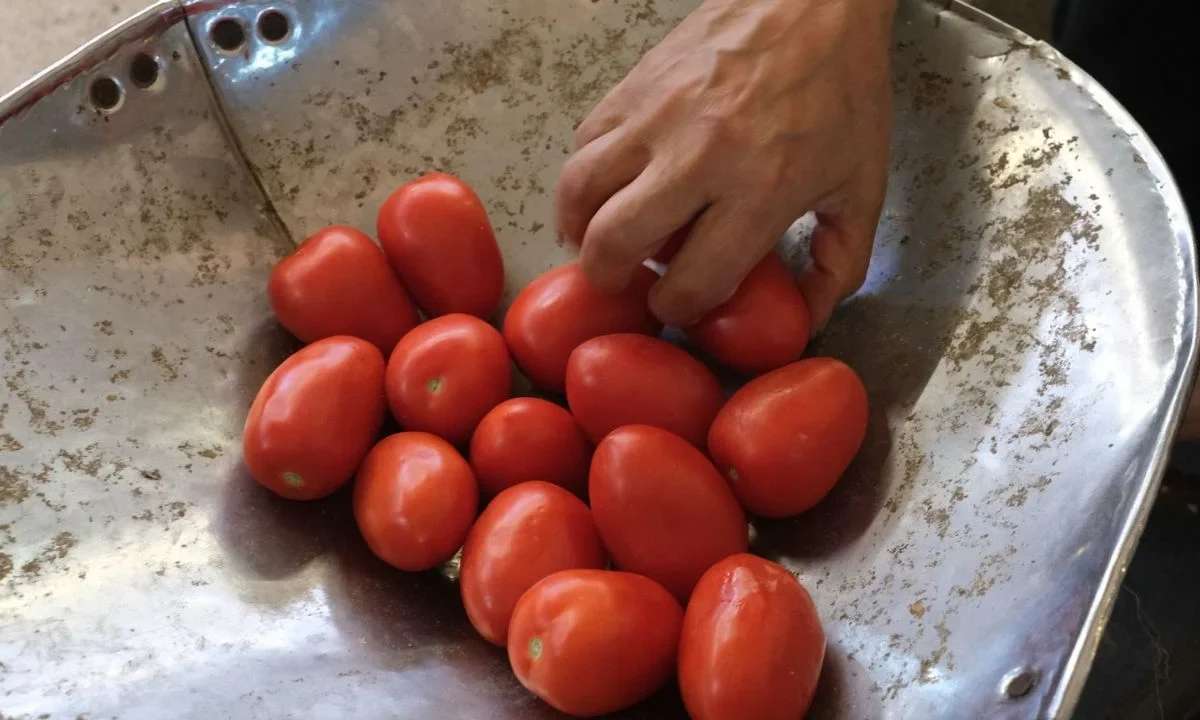 Organizaciones agrícolas aseguraron que no hay país en el mundo que reemplace el tomate mexicano.
