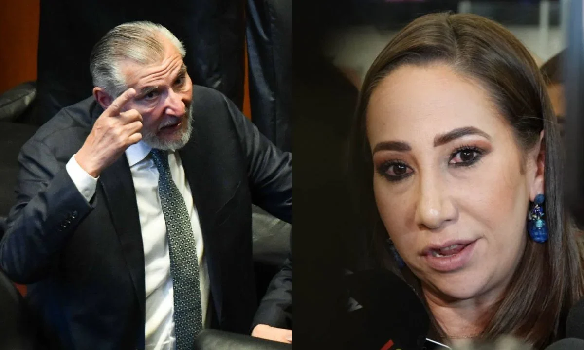 Noemí Luna del PAN aseguró que en Morena hay cómplices de los cárteles pues miembros del gabinete de AMLO como Adán Augusto son señalados.