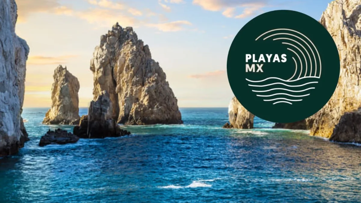 Te decimos como usar la App Playas Mx en tus próximas vacaciones