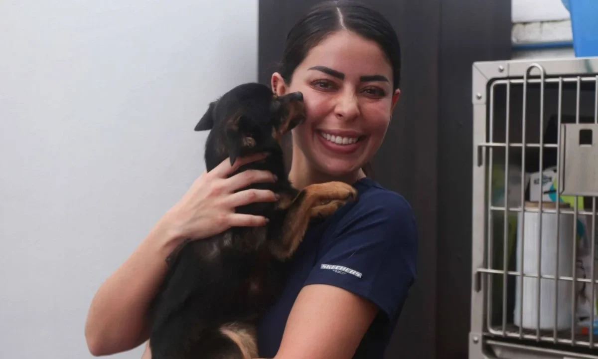 Centro de Transferencia Canina del Metro celebra octavo aniversario y llama a la adopción