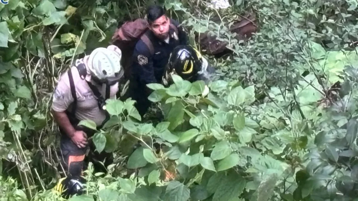 Policías de la CDMX y cuerpos de emergencia rescataron a un joven que cayó a un barranco en el Bosque de Chapultepec.