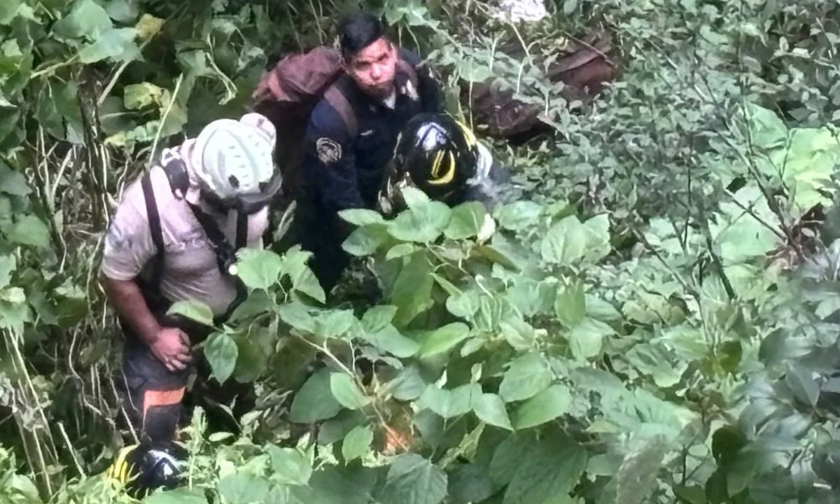 Policías de la CDMX y cuerpos de emergencia rescataron a un joven que cayó a un barranco en el Bosque de Chapultepec.