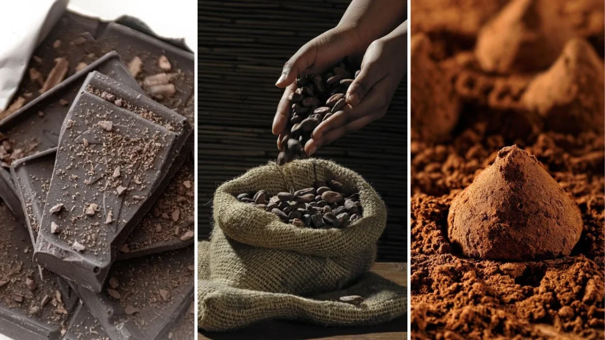 Cacao, cocoa y chocolate: ¿Cuál es la diferencia entre cada uno?